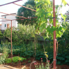 Отель Dragan - Economy Apartments - A2 Manji, фото 8
