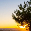 Отель Bodrum Panorama Homes, фото 11