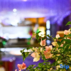 Отель Puzhehei Shicui Garden Homestay, фото 11
