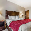 Отель Comfort Inn and Suites Near Lake Guntersville, фото 28