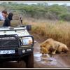 Отель African Spirit Game Lodge, фото 33