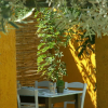 Отель Despotiko Apartment Hotel & Suites, фото 24