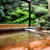Отель Okumizuma Onsen, фото 4