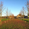 Отель De Moffelhoeve, фото 18