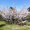 Отель House With 3 Bedrooms in Castelnou, With Wonderful Mountain View, Priv, фото 12