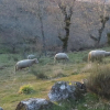 Отель Comfortable Rural Cottage in Ancient Village in the Douro Region, фото 15