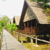 Отель Sukau Rainforest Lodge, фото 3