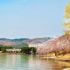 Отель Gyeongju Bomun Hill Stay Pension, фото 36