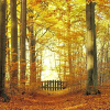 Отель Mundi Park Łagów, фото 3
