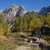 Отель Pension Zum Wilden Hannes, фото 1