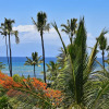 Отель Maui Sunset B402 1 Bedroom Condo, фото 24