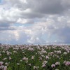 Отель Finisterre, фото 18