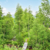 Отель Amazing Home in Norheimsund With 3 Bedrooms and Wifi, фото 9