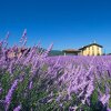 Отель Agriturismo Ca Bacchetta, фото 23