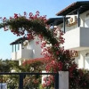 Отель Samothraki Beach Apartment & Suites Hotel, фото 30