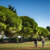 Отель Comfortable Holiday Home With a Microwave, 5 km. From Rovinj, фото 17
