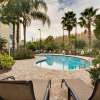 Отель Holiday Inn Express & Suites Tampa-I-75 @ Bruce B. Downs, an IHG Hotel, фото 14