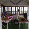 Отель Cabañas y Flores Finca Hotel, фото 41