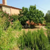 Отель Casa Rural El Bujío, фото 2