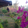 Отель Village Garden Inn, фото 3
