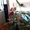 Отель Maison d'hôtes Qazikay Wasi, фото 16