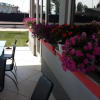 Отель Villa Grand Bitola, фото 3