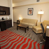 Отель Holiday Inn & Suites Houston West - Westway Park, фото 16
