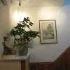 Отель Arden Guest House, фото 14