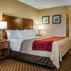 Отель Comfort Inn, фото 5
