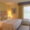 Отель Candlewood Suites Alexandria, an IHG Hotel, фото 4
