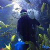 Отель Yuekelai Holiday Hotel (Changzhou South Street), фото 11