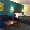 Отель Best Western Tallahassee-Downtown Inn & Suites, фото 5
