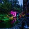 Отель Zhangjiajie Wulingyuan Forest Youyue Art Homestay, фото 9