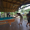 Отель Isabela Villa sleeps 40, pool, Jacuzzi, BBQ, power plant, volley, pool table, фото 21