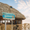 Отель Mangrove Beach Corendon Curacao All-Inclusive Resort, Curio by Hilton, фото 49