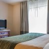 Отель Comfort Inn & Suites, фото 2