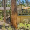 Отель Cozy 'bears Hideaway' Cabin ~ 3 Mi to Shaver Lake!, фото 12