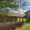 Отель Amboseli Eco Camp, фото 21