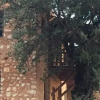 Отель Apollonia Lodge, фото 5