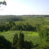 Отель damashni OTEL, фото 1