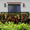 Отель Hoian Aroma Villa, фото 1