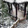 Отель Wolongtan Hotel, фото 4