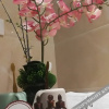Отель Nanguo Guanhai Xiaoge, фото 6