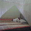 Отель Village Corner Homestay, фото 13