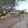 Отель Sentrim Samburu Lodge, фото 13