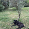 Отель Bastide Gueissard, фото 10