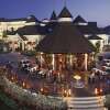 Отель Secrets Wild Orchid Montego Bay - Luxury - Adults Only - All Inclusive, фото 19