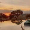 Отель Meliá Serengeti Lodge Member of Meliá Collection, фото 46