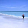 Отель Anna Maria Island Beach Palace, фото 20