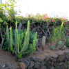 Отель I Dammusini Pantelleria, фото 4